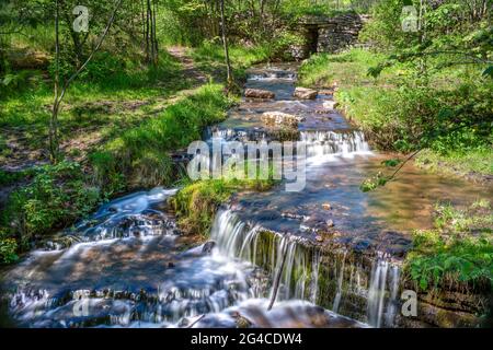 Cascade de Martorpsfallet, ruisseau en déclin dans la forêt sur roche calcaire Banque D'Images