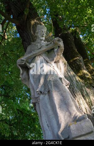 Statue de Saint-Jean-Nepomuk debout sous un arbre dans le village de Lodhéřov, en Tchéquie. Concentrez-vous sur la face du saint. Banque D'Images