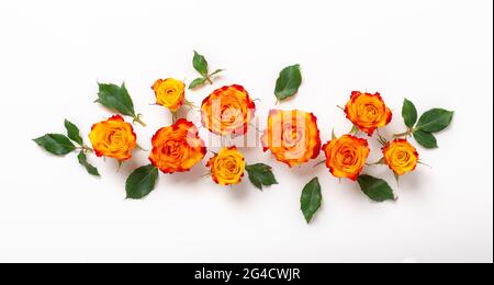 Fond floral avec fleurs roses et feuilles vertes sur fond blanc. Fête des mères, concept de fête des femmes. Flat Lay, vue de dessus - image Banque D'Images