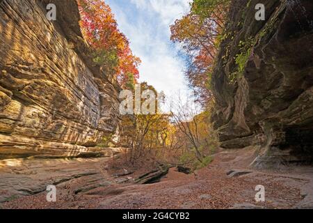 Automne Peeking sur les bords d'un Canyon isolé dans Lasalle Canyon dans Starved Rock State Park dans l'Illinois Banque D'Images