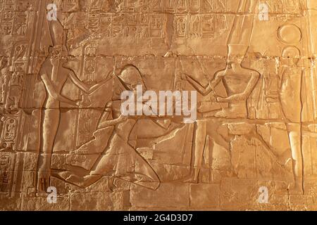Chiffres égyptiens gravés sur l'ancien mur Banque D'Images