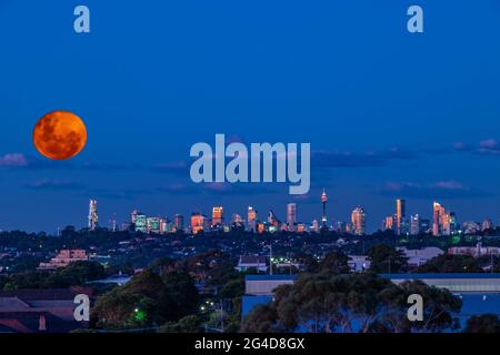 Grande lune d'orange se lève derrière les bâtiments du quartier des affaires de Sydney NSW Australie. Pleine lune de lune de sang rose. CBD bâtiments résidentiels et de bureaux commerciaux Banque D'Images