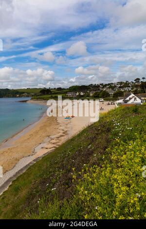 Plage de Gyllyngvase, Falmouth, Cornouailles, Royaume-Uni en juin Banque D'Images