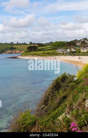 Plage de Gyllyngvase, Falmouth, Cornouailles, Royaume-Uni en juin Banque D'Images