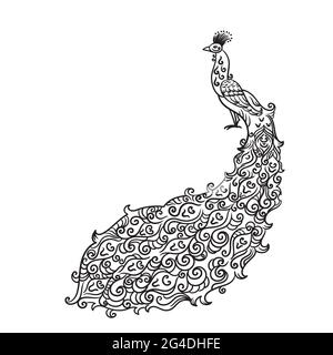 Paon noir isolé sur fond blanc. Contour oranmental oiseau. Illustration du stock vectoriel. Illustration de Vecteur