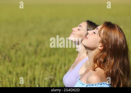 Vue latérale portrait de deux amis qui respirent de l'air frais dans un champ de blé Banque D'Images