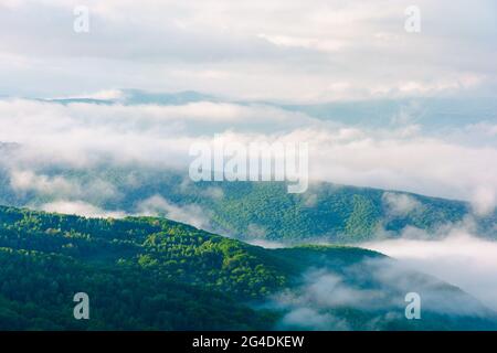 paysage d'été le matin d'une brumeuse. vue imprenable sur la montagne au loin. paysage extérieur pittoresque. magnifique environnement naturel. nuages Banque D'Images