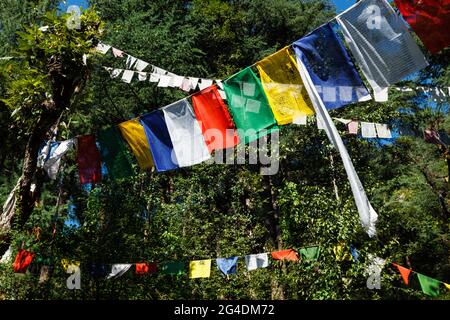 Drapeaux bouddhistes de prière lunga à McLeod Ganj, Himachal Pradesh, Inde Banque D'Images