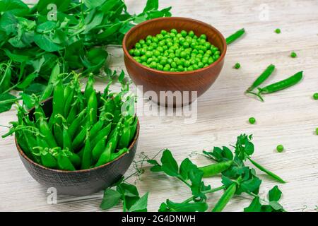 Deux bols de petits pois verts frais en points et pelés sur un fond de pousses de feuilles, des branches de petits pois verts sur une table en bois blanc Banque D'Images