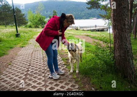 Une jeune femme qui pète son chien errant ​​on la passerelle avec vue sur le lac. Bolu Abant Turquie sélective Focus Banque D'Images