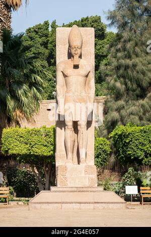 Statue debout de Ramses II sur fond de palmiers verts dans le musée en plein air de Memphis, Égypte Banque D'Images
