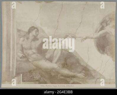 . 3314. Rome. CAPP. Sixtine. Adam Banque D'Images