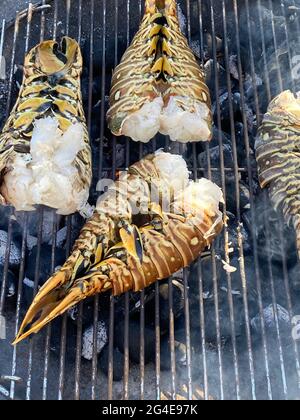 Langoustines cuites et grillées sur un barbecue un jardin Banque D'Images