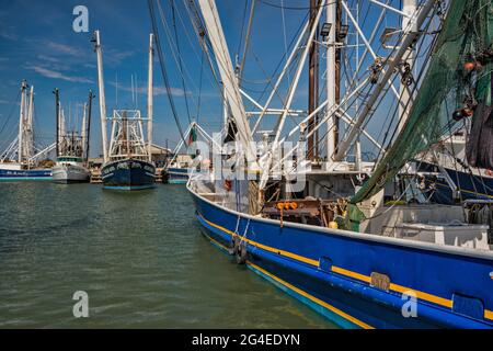 Bateaux à crevettes au port de Palacios, Texas, États-Unis Banque D'Images