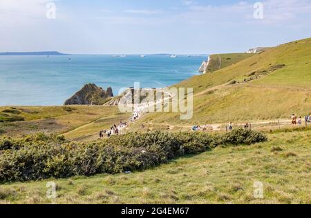 Vue panoramique sur une falaise côtière du chemin de la côte jusqu'à la formation rocheuse de Durdle Door sur le site classé au patrimoine mondial de la côte jurassique, Dorset, au sud-ouest de l'Angleterre Banque D'Images