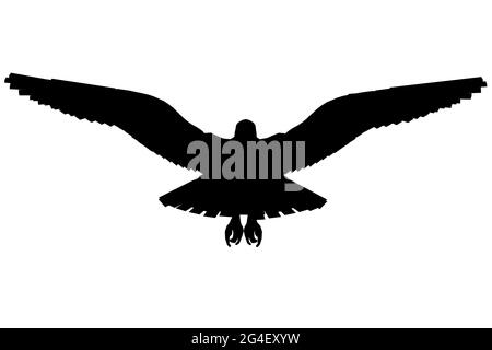 Silhouette d'un aigle avec des ailes étalées isolées sur un fond blanc. Vue avant. Illustration vectorielle. Illustration de Vecteur