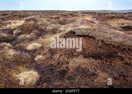 Des hags de tourbe érodés par dmla dégradés sur Black sont tombés dans les Pennines du Nord, Cumbria, Royaume-Uni. Banque D'Images