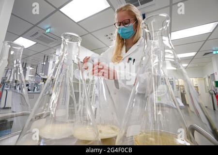 Schenefeld, Allemagne. 21 juin 2021. Un scientifique prépare des échantillons dans le laboratoire BIOLOGIQUE XBI sur le campus de l'installation internationale de recherche européenne XFEL. Entre autres choses, des recherches sont menées là sur la structure d'une protéine qui porte le coronavirus dans son enveloppe. Le XFEL européen exploite le plus grand laser à rayons X au monde. Credit: Marcus Brandt/dpa/Alay Live News Banque D'Images