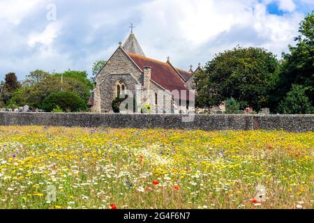 Prairie de fleurs sauvages en pleine floraison dans un champ à côté de l'église paroissiale locale de Saint-Pierre et Saint-Paul, West Wittering, Chichester, West Sussex, Angleterre Banque D'Images