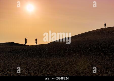 Trois personnes sur une dune, femme prenant la photo de la femme, l'homme regardant, silhouettes au coucher du soleil, Nordjylland, Jutland du Nord, Danemark Banque D'Images
