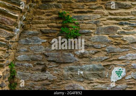 Ville des Tours et du vin, ville historique d'Oberwesel, vallée du Rhin du Haut-Moyen, patrimoine mondial de l'UNESCO, Rhénanie-Palatinat, Allemagne Banque D'Images