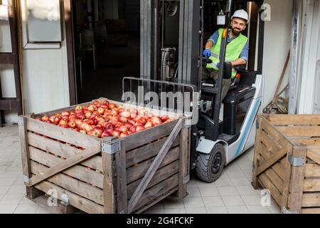 Homme gai dans un casque et uniforme dans un chariot élévateur soulève un conteneur en bois plein de pommes mûres rouges Banque D'Images