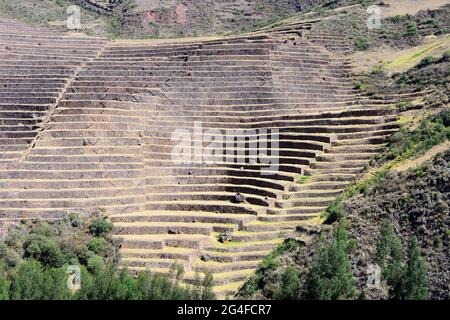 Terrasses fortifiées dans le complexe Inca Ruin, Pisac, région de Cusco, province d'Urubamba, Pérou Banque D'Images