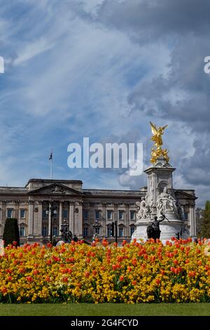 Spring Flowers a l'air charmant en face de Buckingham Palce et du Victoria Memorial à Londres en Angleterre Banque D'Images