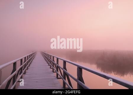 Passerelle en bois, chemin, brouillard, temps brumeux, aube, Frost, lac Federsee, Bad Buchau, Haut-Swabia, Bade-Wurtemberg, Allemagne Banque D'Images