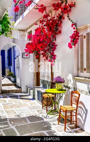 Charmantes rues étroites typiques des îles grecques. IOS, ville de Chora avec arbre floral rose. Cyclades, Grèce Banque D'Images