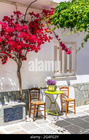 Charmantes rues étroites typiques des îles grecques. IOS, ville de Chora avec arbre floral rose et table basse. Cyclades, Grèce Banque D'Images