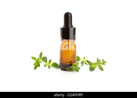 Huile essentielle d'origan et feuilles d'origan fraîches isolées sur fond blanc. Huile vulgare d'Origanum Banque D'Images