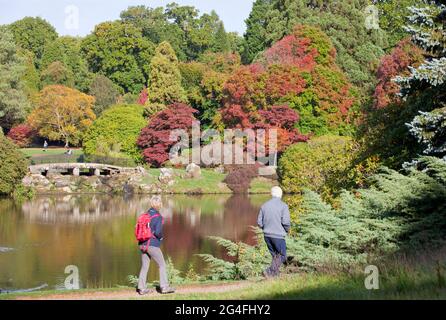Les visiteurs apprécient la beauté automnale glorieuse exposée au parc et jardins de Sheffield, dans l'est du Sussex, en Angleterre, en octobre 2020. Célèbre pour son col d'automne Banque D'Images