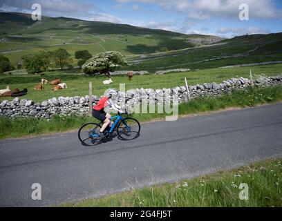 Femme cycliste qui monte sur la route de la crique du côté est, Malham, parc national de Yorkshire Dales, Royaume-Uni. Banque D'Images