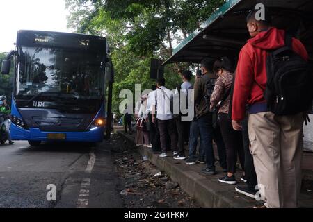 Au milieu de la menace d'une augmentation des cas de Covid-19 dans la région de la capitale spéciale de Jakarta, un certain nombre de travailleurs ont fait une file d'attente à bord du bus Trans Jakarta pour se rendre à leurs bureaux respectifs à l'extérieur de la gare de Manggarai, dans le sud de Jakarta, en Indonésie, le lundi 21 juin. 2021. Les décès dus à Covid-19 à Jakarta ont de nouveau augmenté. Il est demandé aux habitants de la région de la capitale spéciale de Jakarta de continuer à faire preuve de vigilance face au taux d'ajout des cas Covid-19. Aujourd'hui, le nombre total de cas en Indonésie a atteint 2 millions de cas, la région de la capitale spéciale de Djakarta, c'est-à-dire Banque D'Images