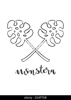 Monstera feuille et lettrage. Style linéaire. Illustration vectorielle, style dessiné à la main Illustration de Vecteur