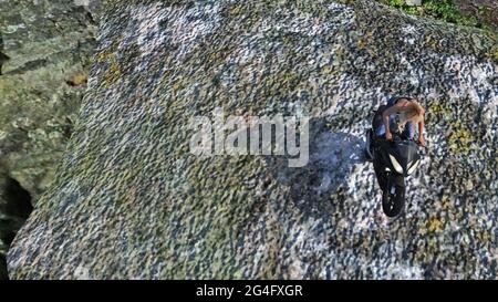 Vue en hauteur illustration 3d d'une femme en plein air faisant une roue sur une moto au sommet d'un gros rocher. Banque D'Images