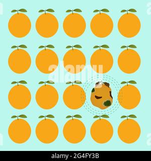 Orange pourri entre plusieurs oranges matures et saines. Concept de contamination. Illustration de Vecteur