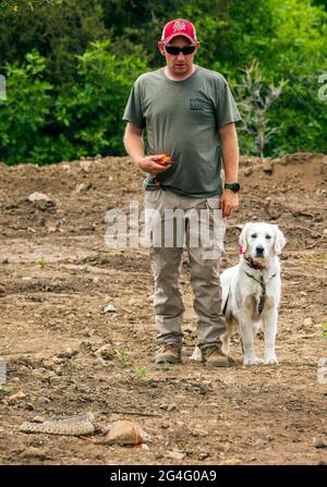 Entraîneur masculin utilisant des colliers électriques de choc avec le chien Golden Retriever dans l'atelier d'évitement de serpent Banque D'Images