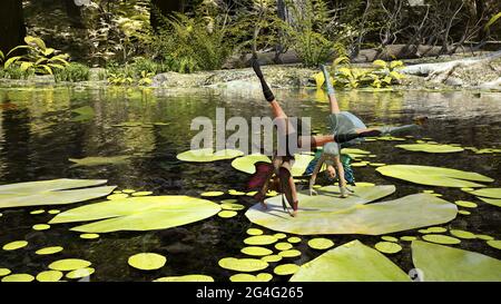 illustration en 3d de deux minuscules fée ailées faisant des cartees sur un coussin de nénuphars près de la rive d'un ruisseau avec ses pieds dans l'air. Banque D'Images