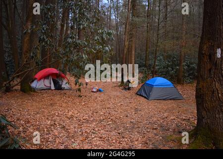 Camp site avec tentes, tabouret et sacs à dos sur Appalachian Trail en Géorgie pendant le voyage de camping d'automne Banque D'Images