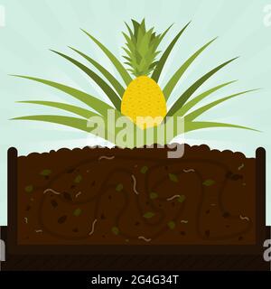 Ananas. Processus de compostage avec matière organique, micro-organismes et vers de terre. Feuilles tombées sur le sol. Illustration de Vecteur