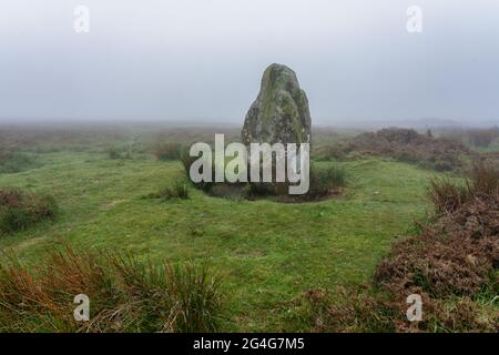 La pierre debout à Waun Mawn, dans les collines Prescelli de Pembrokeshire au Royaume-Uni, reste d'un grand cercle de pierres bleues qui serait déplacé à Stonehenge Banque D'Images