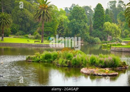 Vue sur un petit lac dans un parc public de Royal Botanic Gardens Melbourne, Australie Banque D'Images