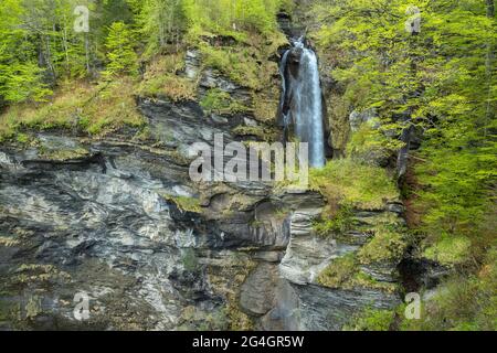 Cascade de Reichenbach Falls en Suisse Banque D'Images