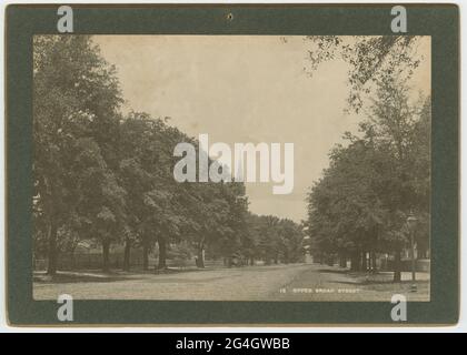 Une empreinte d'albumine sur une carte représentant Broad Street à Thomasville, en Géorgie. La photo donne sur Broad Street, au nord, avec le clocher de la première église méthodiste de Thomasville visible au-dessus de la ligne d'arbre sur le côté ouest de la rue. La rue est relativement vide, bien qu'une calèche se trouve sur le côté gauche de la route et qu'une femme tenant un parasol se trouve sur le trottoir à proximité. Un lampadaire se trouve au premier plan à droite. La photographie est pâle avec une teinte jaunâtre et montée sur un morceau de planche avec des coins arrondis qui est vert sur le devant et gris sur le dos. Un petit trou est situé un Banque D'Images