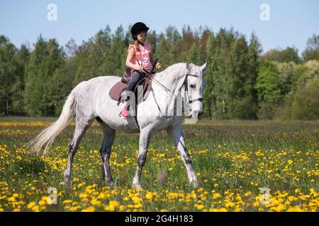 Une petite fille en rose fait un cheval blanc par beau temps Photo