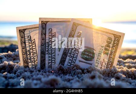 Trois billets de dollars sont enterrés dans le sable sur la plage de sable près de la mer à l'aube du coucher du soleil Banque D'Images