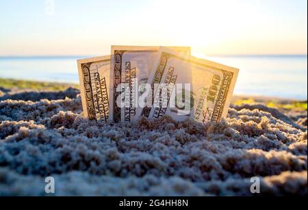 Trois billets de dollars sont enterrés dans le sable sur la plage de sable près de la mer à l'aube du coucher du soleil Banque D'Images