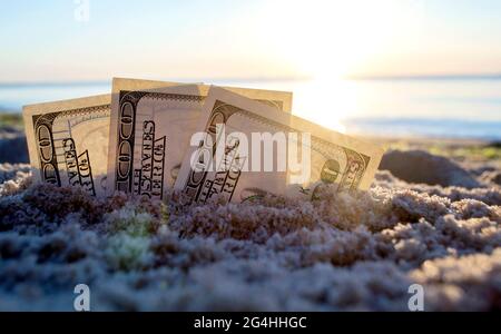 Trois billets de dollars sont enterrés dans le sable sur la plage de sable près de la mer à l'aube du coucher du soleil Banque D'Images